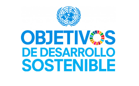 7 conclusiones del Reporte de Desarrollo Sostenible 2019 | Sirse
