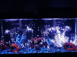 Black And Blue Gravel Fish Tank Blue Black Blue