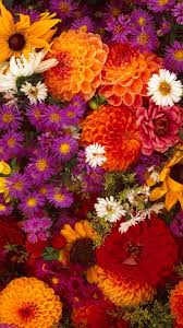 We have a massive amount of hd images that will make your computer or smartphone look absolutely fresh. Flower Android Wallpapers Top Free Flower Android Backgrounds Wallpaperaccess