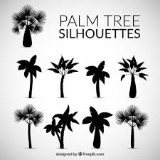Free Vector Silhouettes Of Palm Tree