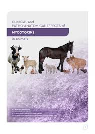 They haven't left the dogs in that condition again. Clinical And Patho Anatomical Effects Of Mycotoxins In Animals By Agrinews Issuu
