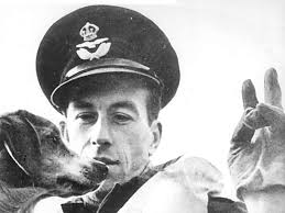 Britons, the RAF needs you: have your say in the vote for 'The People's  Spitfire Pilot'