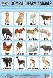 Animal And Their Babies Chart In Rithala Delhi Baby