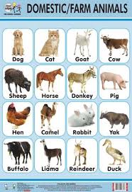 animal and their babies chart in rithala delhi baby