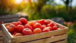 Alar was used as a pesticide and sprayed on fruit, mainly apples, during the 60's, 70's and 80's. Kiwifruit Industry Warns Of Multi Billion Dollar Hit If Officials Ban Controversial Chemical Newshub