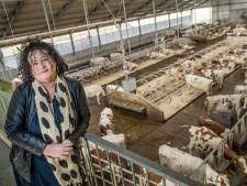 Wat gaat de politiek doen om ervoor te zorgen dat boeren niet hoeven te demonstreren de komende vier jaar? 2 De Stem Van Caroline Van Der Plas Uit Deventer En Van Het Platteland Moet In Den Haag Iets In Beweging Zetten De 21 Van 2021 Destentor Nl