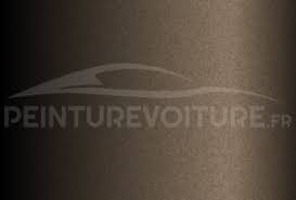 Image result for Brun Guaranja 2014 Peugeot