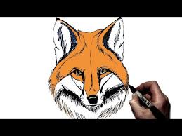 How to draw foxy's face? How To Draw A Fox Step By Step Youtube