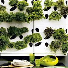 Urban Herb Garden City Garden Growing Herbs Ideal Home Herb Garden Design Herb Garden Wall Herb Wall