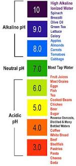 urparamount the ph scale and you