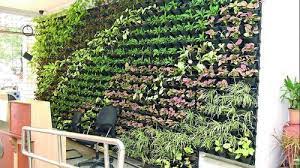 Here are some cheap, simple ideas to decorate an otherwise boring wall. Plastic Vertical Indoor Wall Garden Rs 350 Unit R S Enterprises Id 20420732048