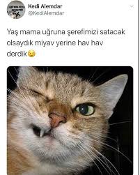 Zeynep Demir Adli Kullanicinin Caps Panosundaki Pin 2020 Komik Seyler Komik Deyisler Komik