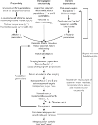 Flow Chart Of The Salmon Metapopulation Simulation There