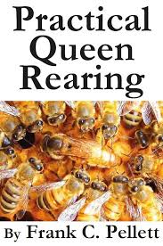 The biology of the honey bee. Pin On Bee Keeping