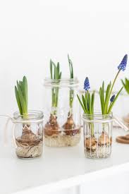 Entsprechend werden auch plätze im frühlingsdeko. Fruhlingsdeko Im Glas Dekoidee Mit Blumen