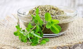 Jump to section what are the culinary uses for marjoram? List Of Marjoram Substitutes For Your Dishes