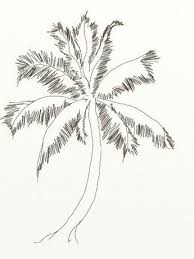 New users enjoy 60% off. How To Draw Coconut Tree Coconut Tree Drawing Tree Drawing Trees Art Drawing