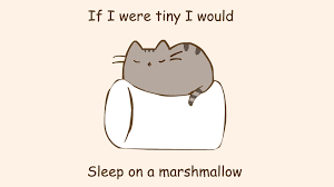 You can download and install the wallpaper and use it for your desktop pc. Pusheen Cat Wallpaper Pc Novocom Top