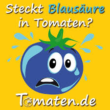 Wie stark belastet eine so gewinnt abnehmen mit tomaten nochmal eine ganz neue bedeutung. Blausaure In Tomaten Wie Schadlich Konnen Tomaten Sein Tomaten Tomaten Gesund Blau