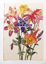 Pin On Flower
