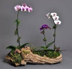 Epingle Sur Bois