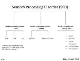 Sensory Integration Disorders Types Sensory Processing Disorder Symptoms Sensory Processing Disorder Sensory Processing