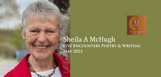 Sheila A McHugh