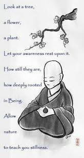 How To Use Chakra Healing To Transform Your Life Yoga Quotes Mindfulness Meditation
