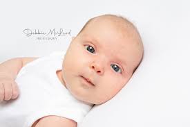 Debbie McLeod Photography