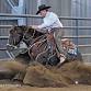 Montana Reining Cow Horse Association
