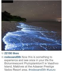 Check spelling or type a new query. Bioluminescent Phytoplankton In Vaadhoo Island Maldives At The Adaaran Prestige Vadoo Resort Area Resort Area Earth Pictures Bioluminescent Phytoplankton