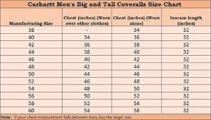 Carhartt Mens Big Tall Arctic Quilt Lined Duck Coveralls X01