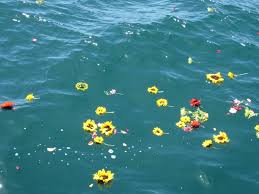 Maybe you would like to learn more about one of these? Schooner Clearwater Clearwater Florida Burials At Sea Ash Scatterings At Sea Ocean Friendly Sea Burials Sea Burials Sailing Charter Clearwater Beach