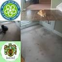 Castle One Rotary Steam Carpet Restoration, carpet cleaning ...