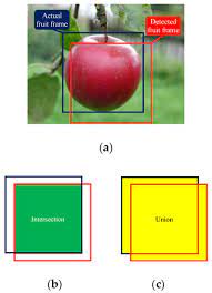 2,380 likes · 35 talking about this. Agronomy Free Full Text Using Yolov3 Algorithm With Pre And Post Processing For Apple Detection In Fruit Harvesting Robot Html