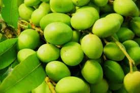 When eating the worms the dogs chew them killing them so all that remains after digestion is the exoskeleton. The Use Of Mango And Its Subproducts To Feed Animals Animal Nutrition
