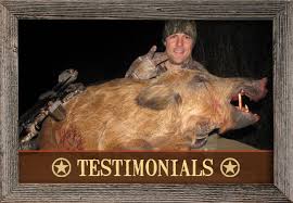 With a true dedication to the removal of wild hogs, prone outfitters represents the best of texas hog hunting: Best Hog Hunting In Texas Hog Hunting Outfitters