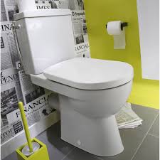 Type De Sortie De La Cuvette Sortie Horizontale Diametre 100 Wc A Poser Pack Wc Plomberie