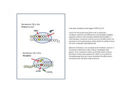 Remdesivir is an antiviral drug that was developed by gilead sciences in 2014 as a possible treatment for ebola hemorrhagic virus (ebv). Uofa Lab Uncovers New Mechanism Of Action Against Sars Cov 2 By Antiviral Drug Remdesivir Eurekalert Science News