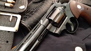 Image result for Coral Blue 1989 Colt