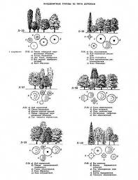 Landscape Architect Design Definition Landscape Gardening Macclesfield Landscapedesignarchitectsnearme Garden Planning Landscape Plans Garden Design