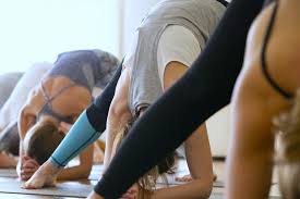 Yoga anatomy and alignment