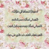 Thepug Prayers Pray Islam