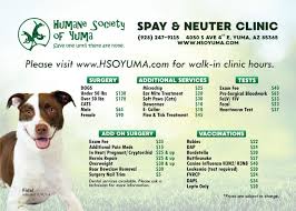 Although spaying is considered to be major surgery, it is one of the most common procedures performed. Low Cost Clinic Humane Society Of Yuma Animal Shelter Pet Adoption