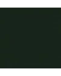 Image result for Azorean Green 2019 Audi