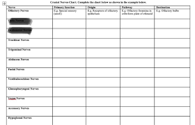 Solved Cranial Nerves Chart Complete The Chart Below As