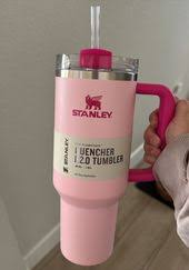 Sage Green Stanley Cup