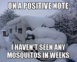5 Funny Winter Quotes To Thaw Your Cold Cold Heart Shoplet Revel in the joys of winter while you sip your ale and read these winter quotes. 5 funny winter quotes to thaw your cold