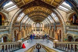 En déambulant dans les galeries, le jeune garçon s'est rapidement rendu compte que quelque chose. Le Museum D Histoire Naturelle De Londres Accelere La Numerisation Des 80 Millions D Objets De Sa Collection Club Innovation Culture Clic France