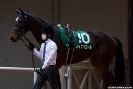 ほうずきみたいに紅い魂 ⅱ ルーネイトエルフ ⅲ 上海紅茶館 ～ chinese tea ⅳ ヴワル魔法図書館 ／ ラクトガール ～ 少女密室 ⅴ メイドと血の懐中時計 ／ 月時計 ～ ル. ãƒ¡ã‚¤ã‚±ã‚¤ã‚¨ãƒ¼ãƒ« ç«¶èµ°é¦¬ãƒ‡ãƒ¼ã‚¿ Netkeiba Com